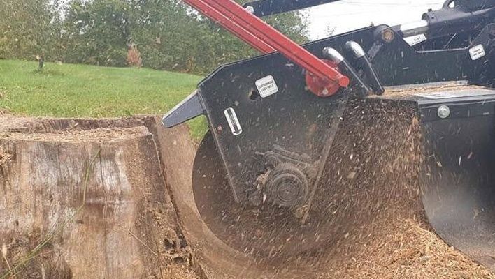 Stubbefreser i arbeid som fjerner trestubbe og sprer flis og jord rundt maskinen.