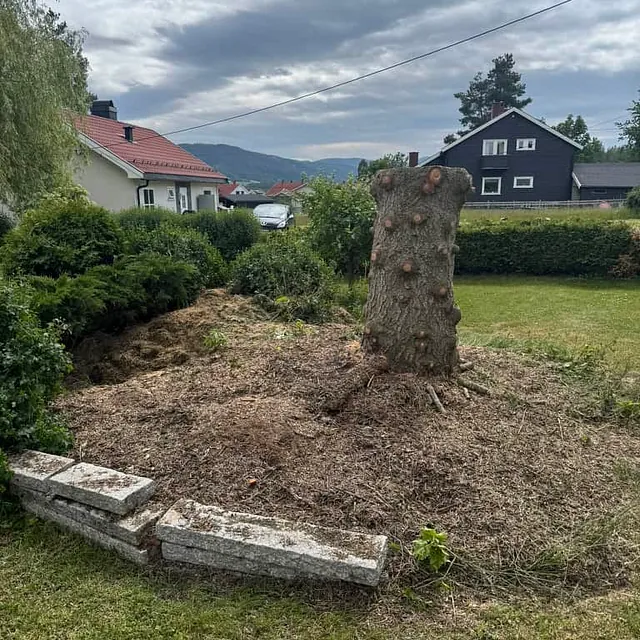 Hage med trestubbe og flis etter felling, omgitt av hus og grøntområde i nabolag.