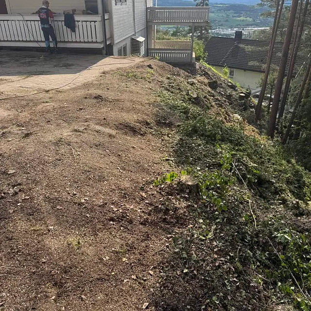 Ryddet tomt ved bolig etter trefelling med synlig stubbe og fjernet vegetasjon i skråning.