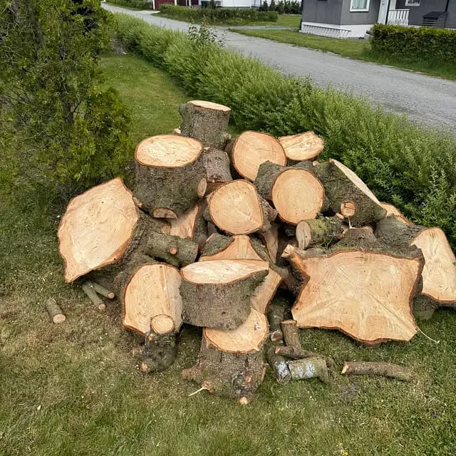Stablede vedkubber på gressplen klare for videre kapping eller lagring ved boligområde.