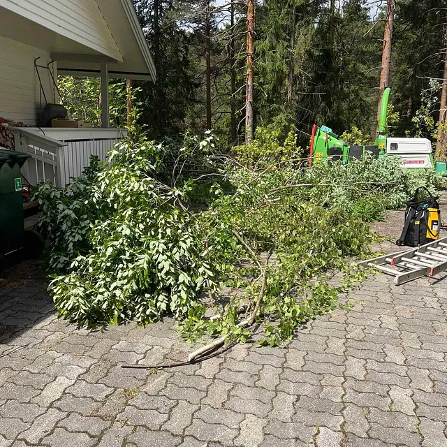 Nedkappede greiner ligger på gårdsplass ved hus med maskin og utstyr for flishugging.