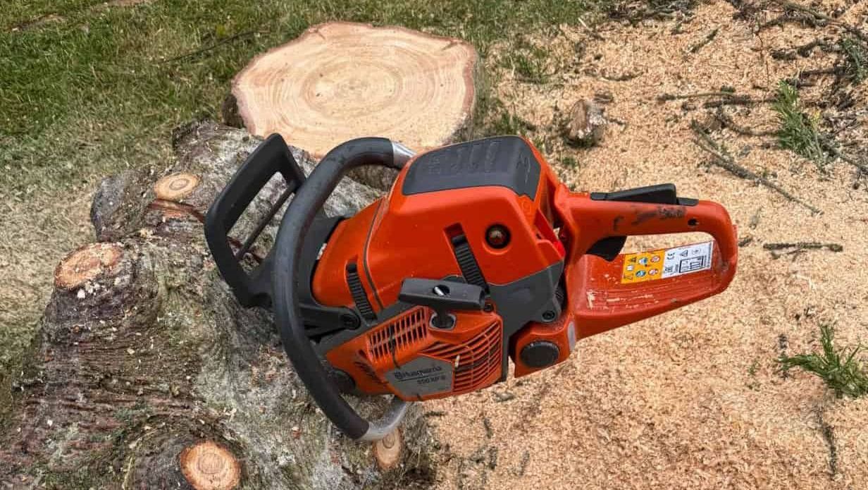 Motorsag plassert på trestubbe med fersk sagflis rundt etter nylig kapping av tre.